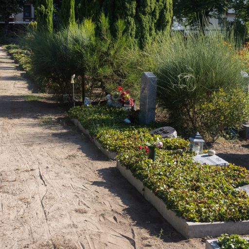 Quartier IV - Urnenwahlgrabstätte in Staudenlage